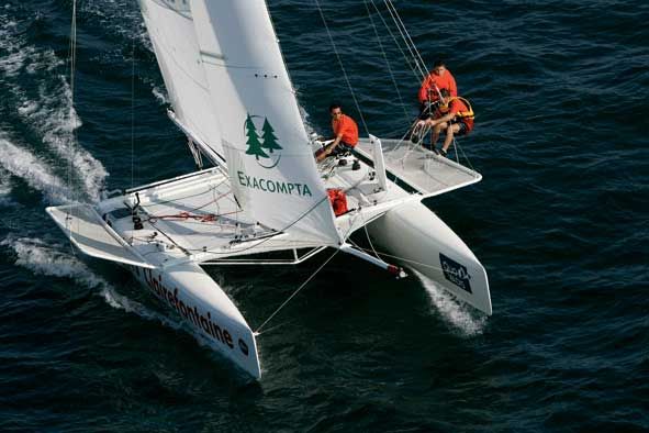 photo catamaran de course